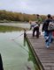 image_1_6_-4