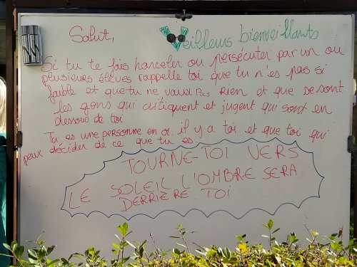 img20221110135045