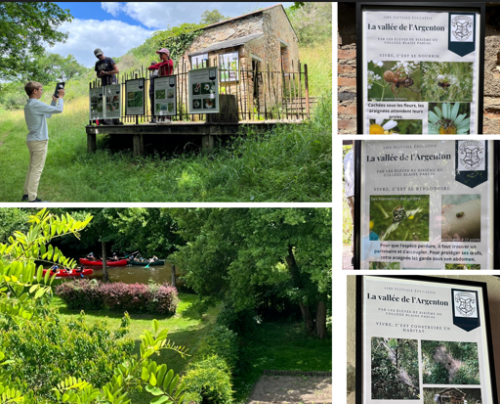 capture_d_ecran_2025-06-11_115618