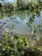 reflet_nature