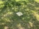 reflet_miroir_et_fleurs