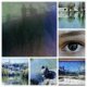 b5f4e42b-6cea-4998-bf14-8fe409c92f1c-collage
