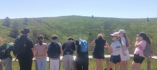 img_20260528_113750