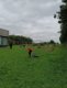 img_20240528_124213