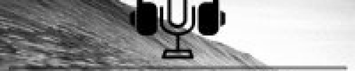 Logo article central