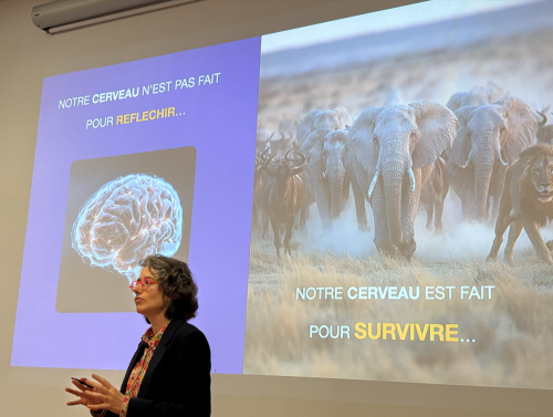 capture_d_ecran_2026-01-06_083341