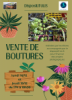 vente_de_boutures