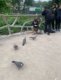img-20240513-wa0004