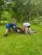 img-20240522-wa0018