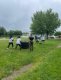 img-20240522-wa0020