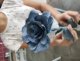 roses_mme_tenaud