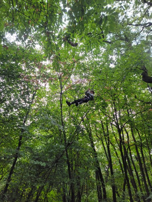 40661a70-5095-4dc1-9a5c-0b85fe978098