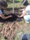 img-20260605-wa0011