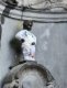 photo_15