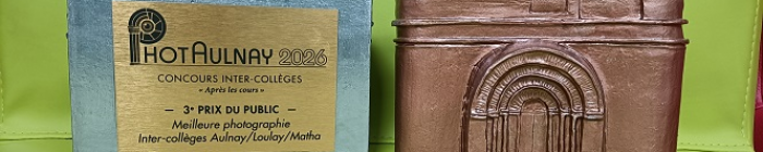 Logo article central