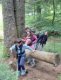 image_1_2_-5