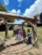 image_1_4_-5