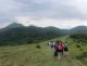 image_1_2_-3