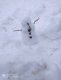 img-20260114-wa0014