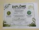 diplome