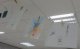 sam_2440