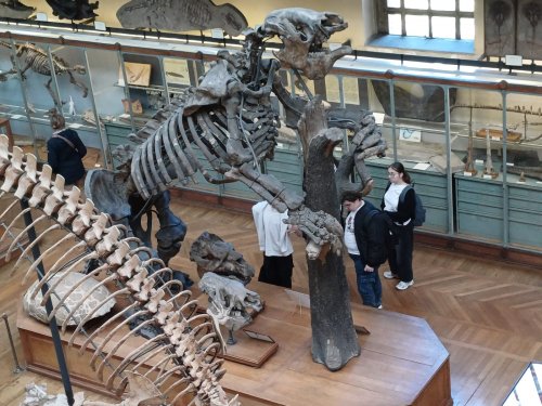 photo-2025-04-11-11-54-05_2-2