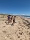 img-20240620-wa0046