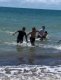 img-20240620-wa0047