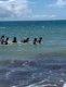 img-20240620-wa0048