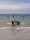 img-20240620-wa0069