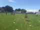 img-20240620-wa0071