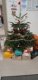 img-20241205-wa0002