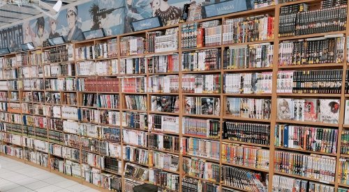 Poitiers : une bibliothèque pleine de mangas