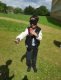 img-20250416-wa0021