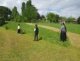 img-20250416-wa0016