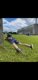 img-20240621-wa0000