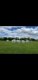 img-20240621-wa0010