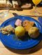img-20250213-wa0004