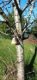 4f1faeec-f2b7-4d09-8663-4eab8d9267b1