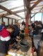 img-20250401-wa0017_1_