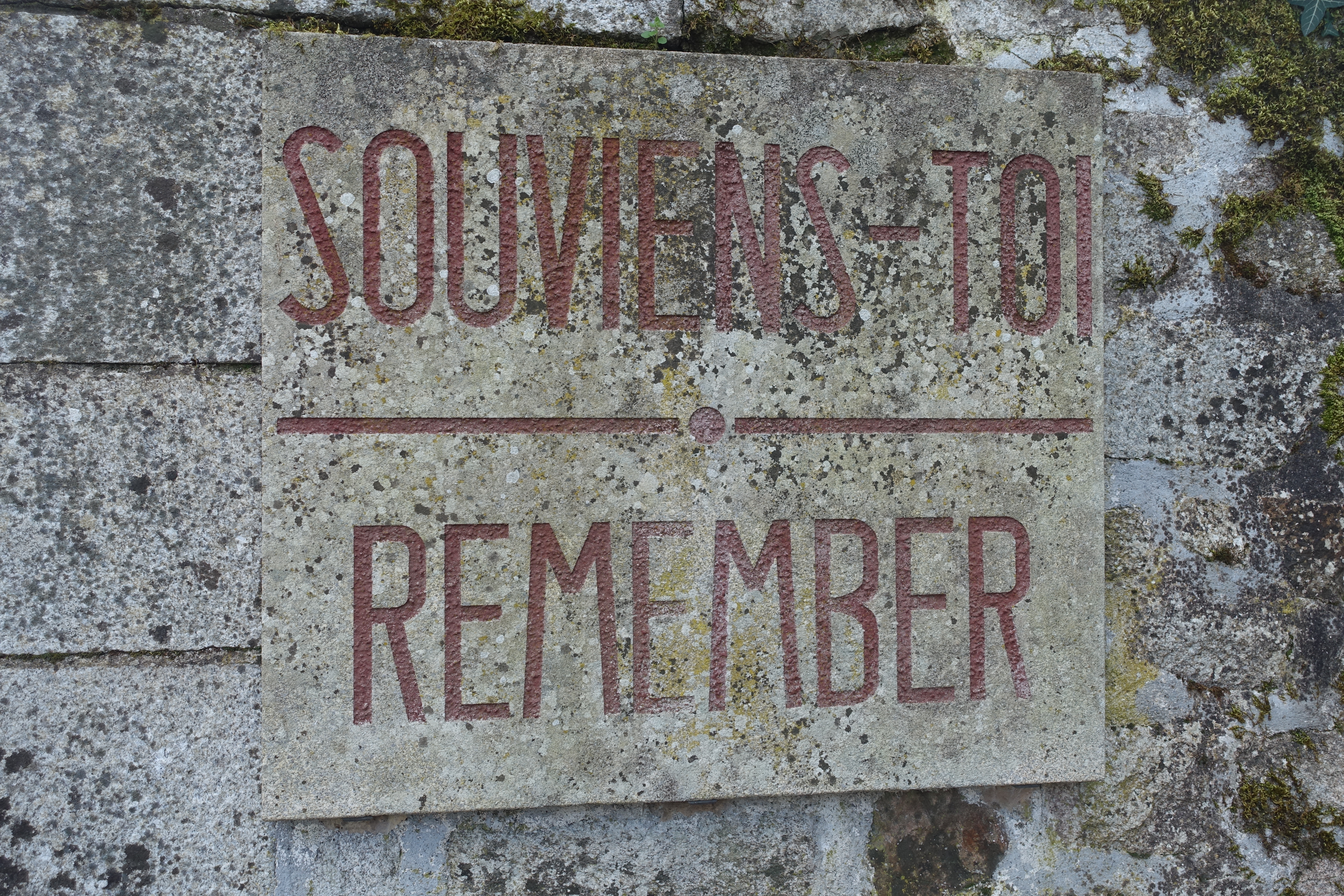 Logo de l'article