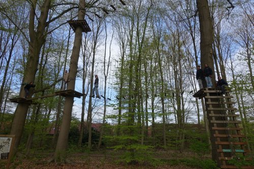 dsc05510_acro