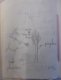 croquis_etang