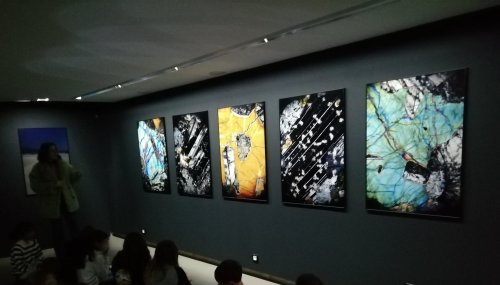 img_20260127_104607