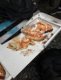 img-20190410-wa0007