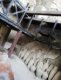img-20190410-wa0032