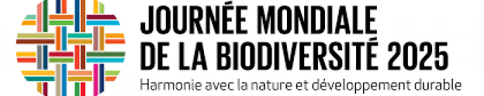 Logo article central