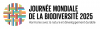 Logo de l'article
