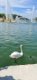 img-20250418-wa0041