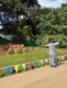 b2b46c69-5a05-48af-b123-b780e701e101